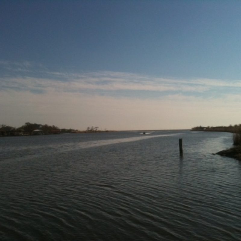 Pearl River Marshes below Hwy 90